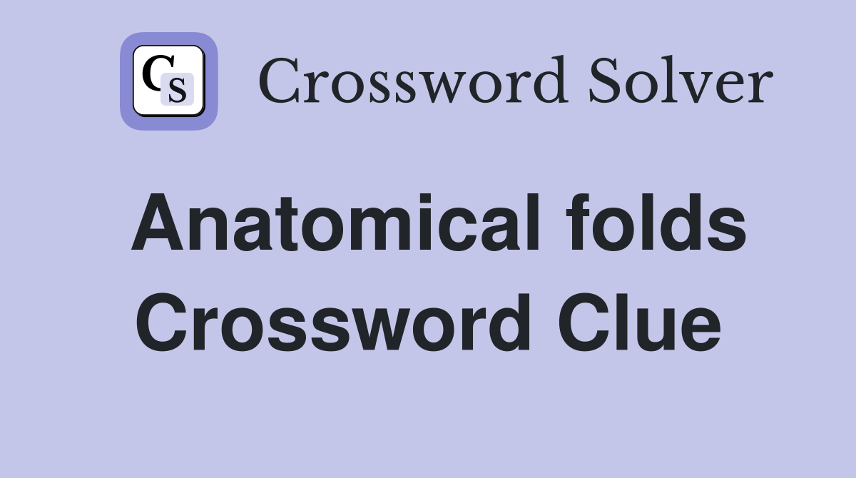 Anatomical folds Crossword Clue Answers Crossword Solver